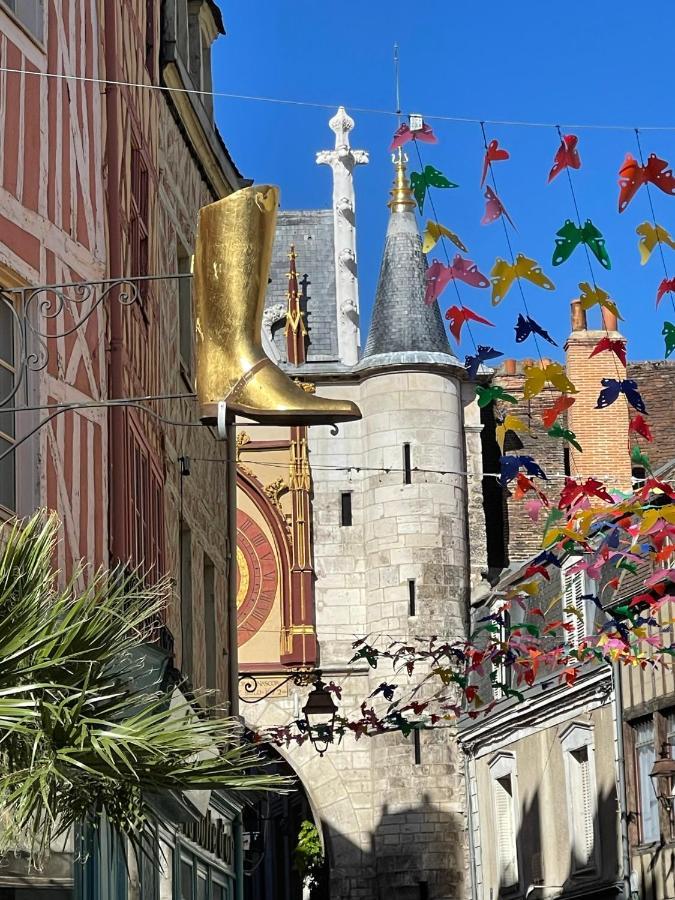 Le Pigeonnier Centre Historique Auxerre Apartment ภายนอก รูปภาพ