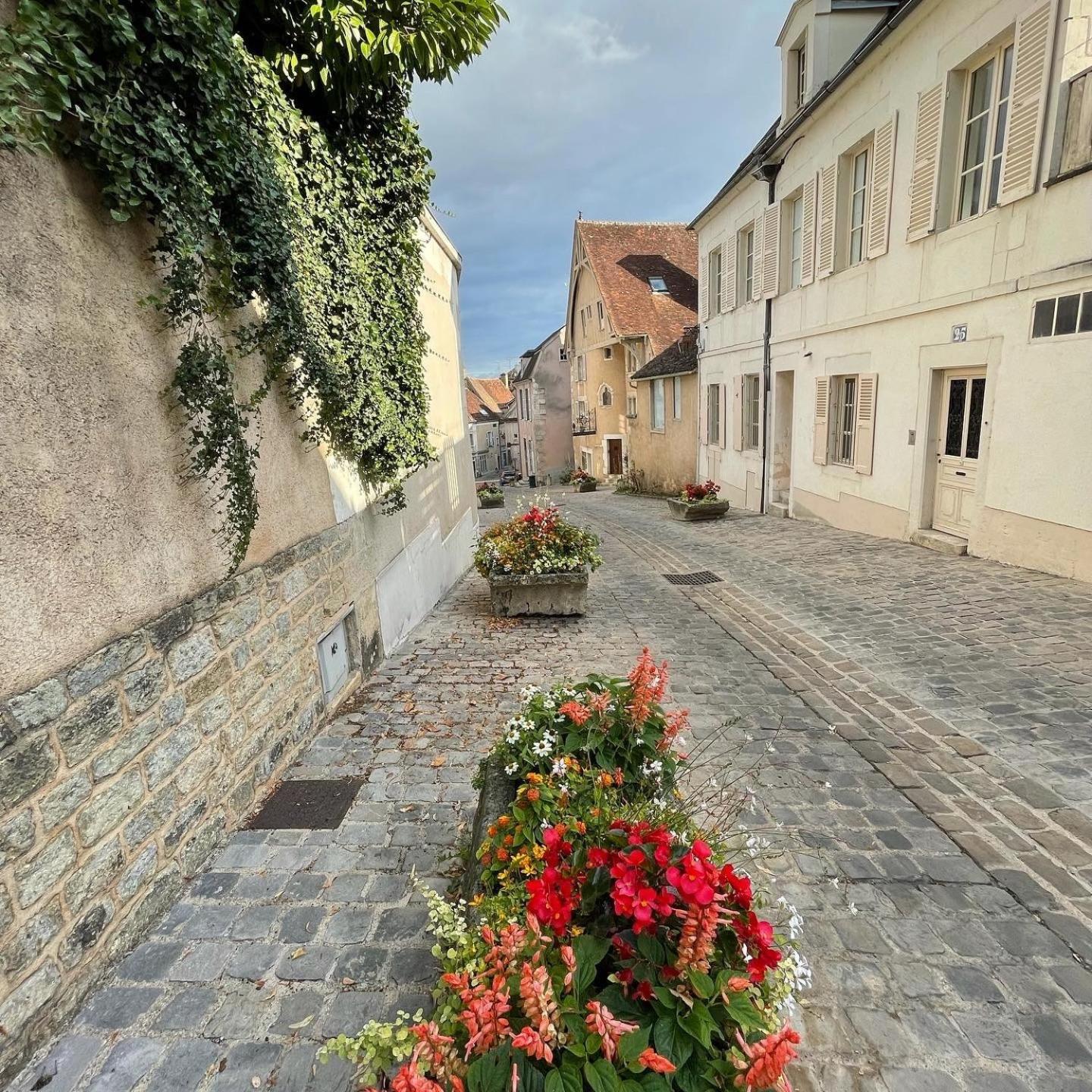 Le Pigeonnier Centre Historique Auxerre Apartment ภายนอก รูปภาพ